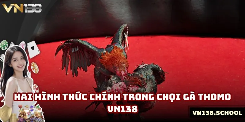 Hai hình thức chính trong chọi gà Thomo VN138