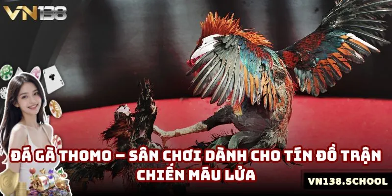 Đá Gà Thomo – Sân Chơi Dành Cho Tín Đồ Trận Chiến Máu Lửa