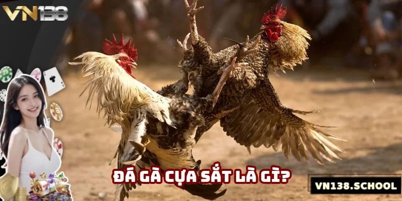 Giới thiệu cơ bản về hình thức đá gà cựa sắt ở nhà cái VN138