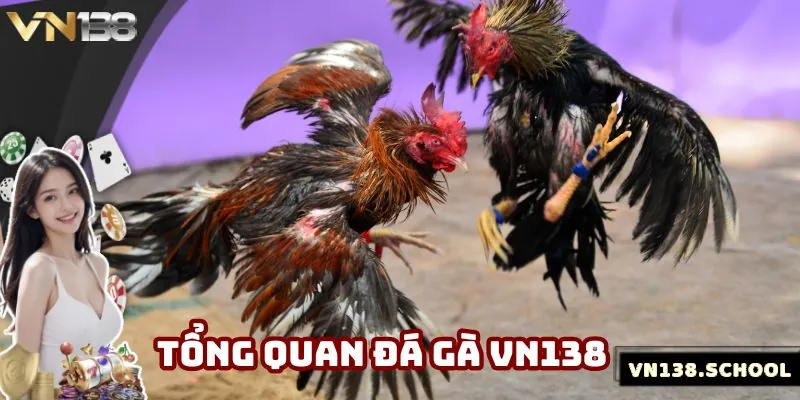 Giới thiệu khái quát về đá gà VN138