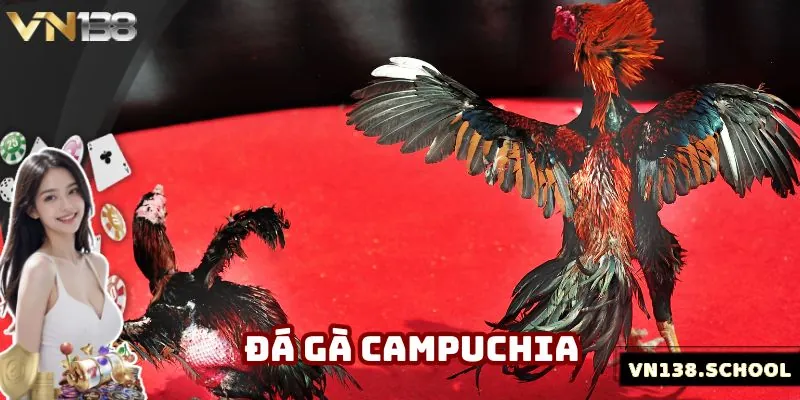 Loại hình Campuchia nhận được nhiều lượt yêu thích hiện nay