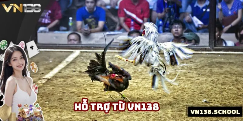 Nền tảng sẽ hỗ trợ trên nhiều khía cạnh để phục vụ khách hàng