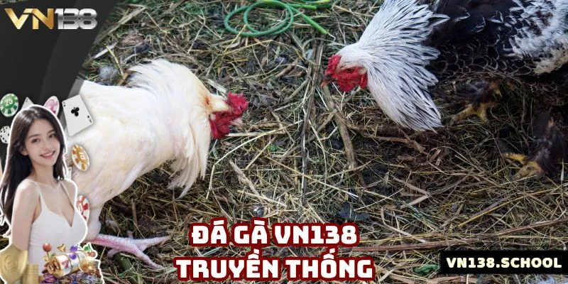 Phương thức chọi kê truyền thống cung cấp nhiều trận đấu đỉnh cao