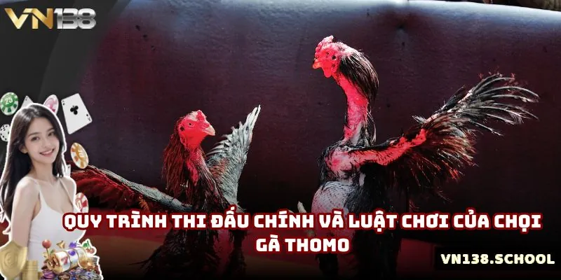 Quy trình thi đấu chính và luật chơi của chọi gà Thomo