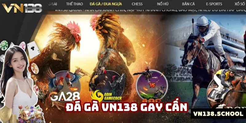 Sảnh đá gà đổi thưởng nhận được nhiều lượt yêu thích hiện nay